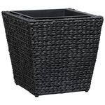 vidaXL Lits surélevés 3 Pièces Jacinthe d'eau Noir