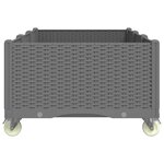 vidaXL Jardinière à roulettes gris clair 150x80x54 cm PP