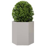 vidaXL Jardinières 2 Pièces hexagone 46x40x45 cm acier inoxydable