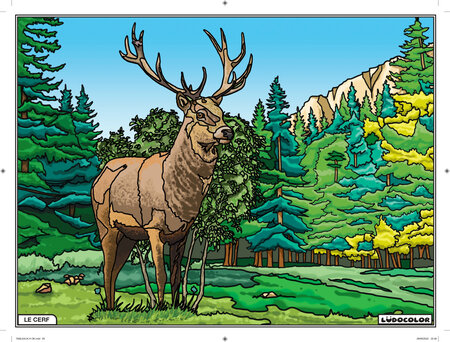 Tableau velours à colorier le cerf