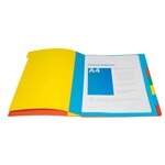 Trieur Harmonika® À Fenêtres Avec Élastiques Véritable Carte Lustrée 9 Compartiments - Couleurs Assorties - X 6 - Exacompta