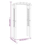 vidaXL Arche en treillis 110x60x210 cm Bois de pin massif imprégné