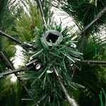 vidaXL Sapin de Noël artificiel à charnières avec support 240 cm