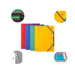 Trieur Harmonika Fenêtres Imprimées Véritable Carte Lustrée 5 Compartiments - Couleurs Assorties - X 8 - Exacompta
