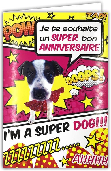 Carte Rose Bon Anniversaire Super Héros Chien Chiot avec Enveloppe 12x17 5cm