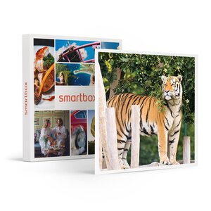 SMARTBOX - Coffret Cadeau Entrée au Parc Bellewaerde en 2024 pour 1 adulte -  Sport & Aventure