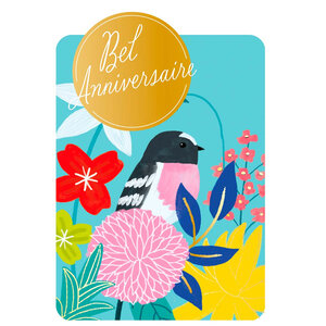 Carte de Vœux Thème Anniversaire Party Time - Plusieurs Styles - Bel Anniversaire - Draeger