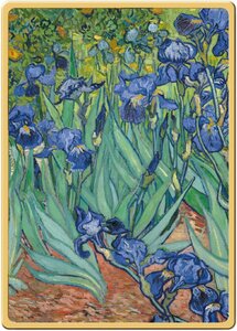 Pièce de monnaie en Or 1 Dollar g 0.062 (1/500 oz) Millésime 2022 Vincent Masterpieces IRIS