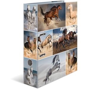 Classeurs à Levier Motifs 'Animals' Format A4 Chevaux HERMA