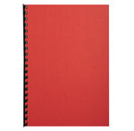 Paquet De 100 Couvertures Grain Cuir Pour Reliure A4 - Rouge - Exacompta