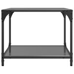 vidaXL Tables basses avec dessus en verre noir 2 Pièces 50x50x40 cm acier