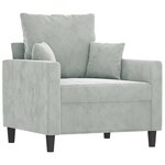 vidaXL Fauteuil Gris clair 60 cm Velours
