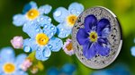 FORGET ME NOT Flowers and Leaves 1 Once Argent Monnaie 10 Dollars Palau 2023