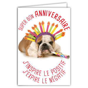 Carte Bon Anniversaire Humoristique avec Enveloppe Illustrée format 17 5x12cm Chien Drôle Amusant Rigolo Déguisé avec des accessoires pour faire la Fête - Création Fabrication française 69-6202