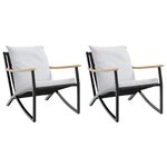 vidaXL Chaises de jardin avec coussins lot de 2 noir acier
