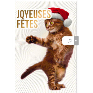 Carte De Vœux Musicale Joyeuses Fêtes Chaton - Draeger paris