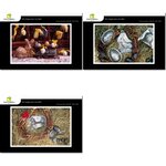 Lot de 3 cartes postales - pâques - photos frédéric engel