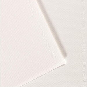 Paquet de 10 feuilles Mi-Teintes CANSON 50 x 65 cm 160 g coloris blanc