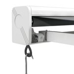 vidaXL Auvent rétractable anthracite 4x3 m tissu et aluminium