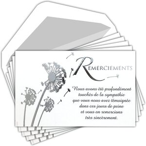 Lot 5 cartes remerciements condoléances argenté +5 enveloppes blanches 9x14cm