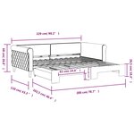 vidaXL Lit de jour avec lit gigogne gris clair 100x200 cm velours