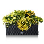 LECHUZA Jardinière BALCONERA Cottage 50 ALL-IN-ONE Granite