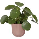 Pot de fleurs Rond VIBES - Plastique - Ø 22 - Rose poudré
