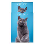 Calendrier Mural déco 29x39  cm - 2025 - Chats 2025 - Draeger