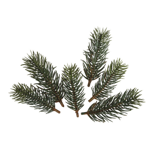 Rameaux de sapin  7 7cm+9 5cm  6 pces