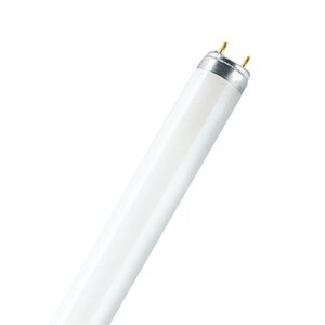 Tube fluorescent 26 mm Lumilux T8 G13 58W 3000°K 1500 mm
