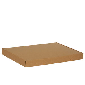 Boîte rectangulaire en carton kraft micro-cannelé 31.5 x 22.5 x 3 cm