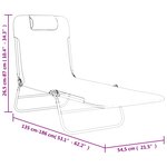 vidaXL Chaises longues pliables lot de 2 noir textilène et acier