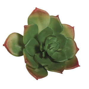 Plante Grasse Succulente Artificielle Echeveria 8 5 x 3 5 cm