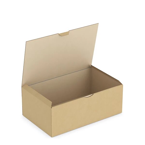Boîte carton brune d'expédition rajapost 35x22x13 cm (lot de 50)