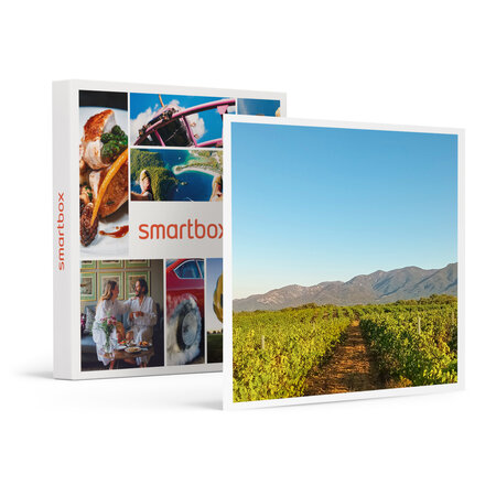 SMARTBOX - Coffret Cadeau Visite d’un domaine viticole près de Perpignan avec dégustation et 6 bouteilles offertes -  Gastronomie