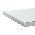 vidaXL Étagères murales 2 Pièces 100x40x3 cm argenté acier inoxydable