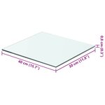 vidaXL Panneau pour étagère Verre transparent 40 x 30 cm