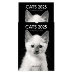 Petit Calendrier Mensuel 2025 14x18 Cm - Chats Noir & Blanc - Draeger paris