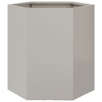 vidaXL Jardinières 2 Pièces hexagone 46x40x45 cm acier inoxydable