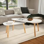 vidaXL Ensemble de tables basses 2 Pièces Bois de pin massif Blanc