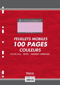 Feuilles Simples A4 Seyès 100 Pages 80g Grands Carreaux Sous Film Roses CONQUÉRANT
