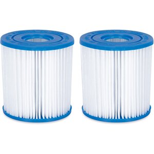 Summer Waves TW17-P57000402000 - Cartouche filtrante de remplacement Type I (2-pack)