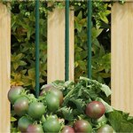 vidaXL Piquets pour plantes de jardin 30 Pièces vert 150 cm acier