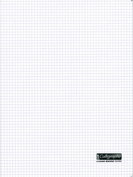 Cahier Couverture Polypro 90g 24 x 32 cm 96 p Petits carreaux 5x5 Translucide CALLIGRAPHE