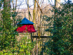 SMARTBOX - Coffret Cadeau 2 jours en tente suspendue dans les arbre en Normandie -  Séjour