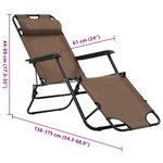 vidaXL Chaises longues pliables lot de 2 avec repose-pied Acier Marron