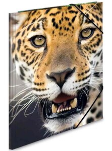 Chemise à élastique PP Format A3 'léopard' HERMA