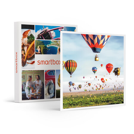 SMARTBOX - Coffret Cadeau Anniversaire sensationnel dans les airs pour 1 personne -  Sport & Aventure