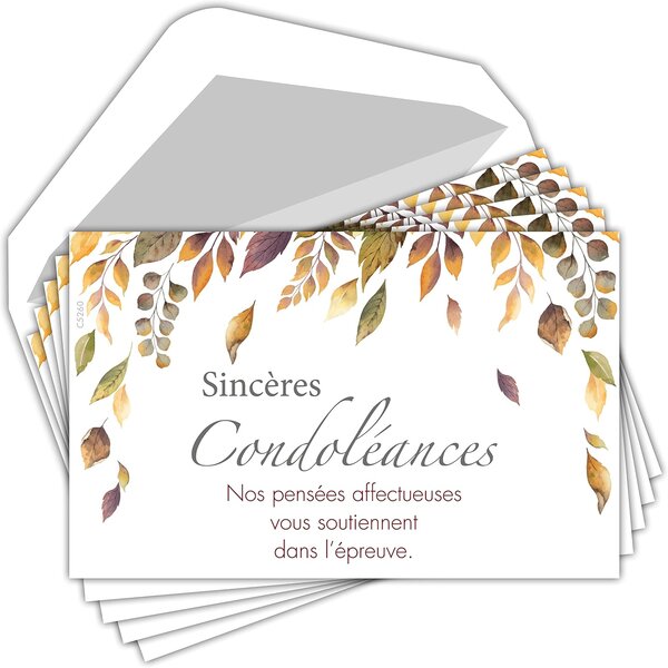 Lot 5 cartes remerciements condoléances +5 enveloppes blanches format 9x14cm