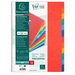 Intercalaires Carte Lustrée 225g 12 Positions - A4 - Couleurs Assorties - X 25 - Exacompta